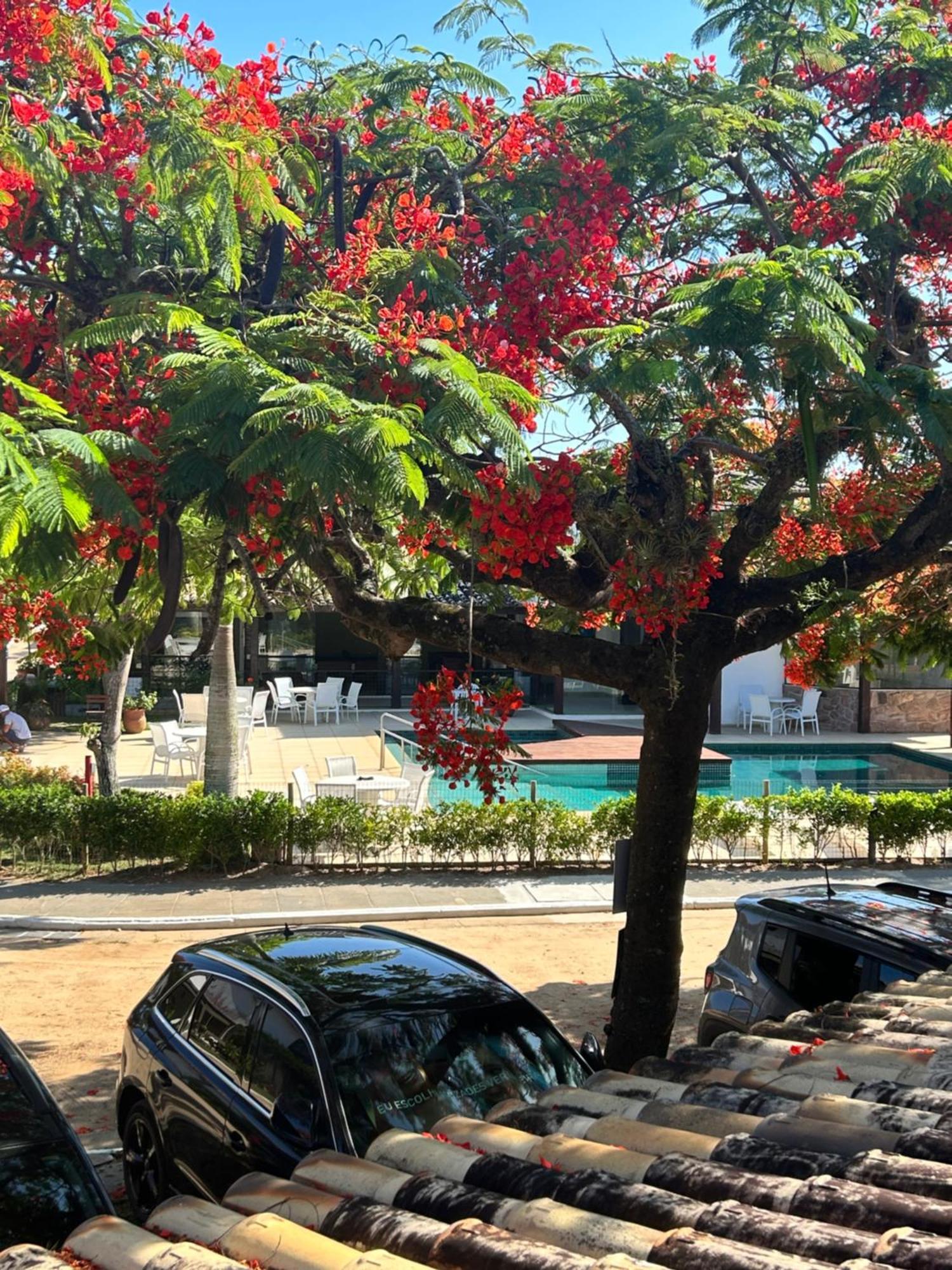 Casa Em Manguinhos-Buzios别墅 外观 照片